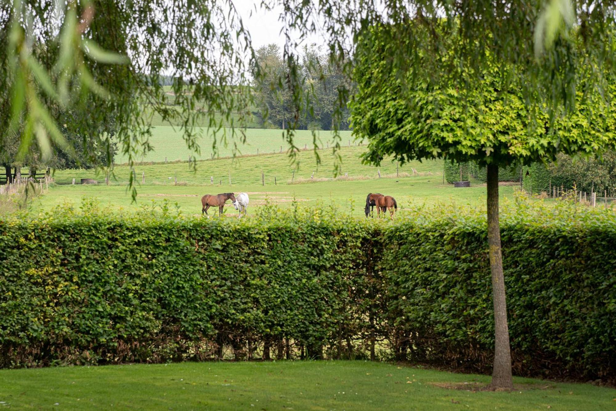 B&B Bertem Natuur ภายนอก รูปภาพ